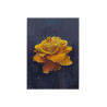Print ROSA