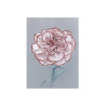 Print Clavel